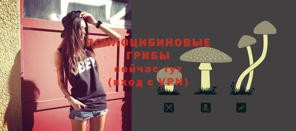 спайс Алексеевка