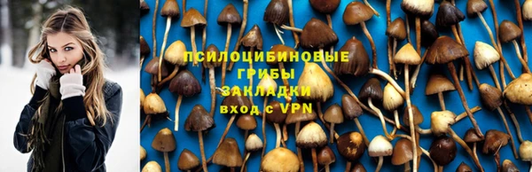 спайс Алексеевка