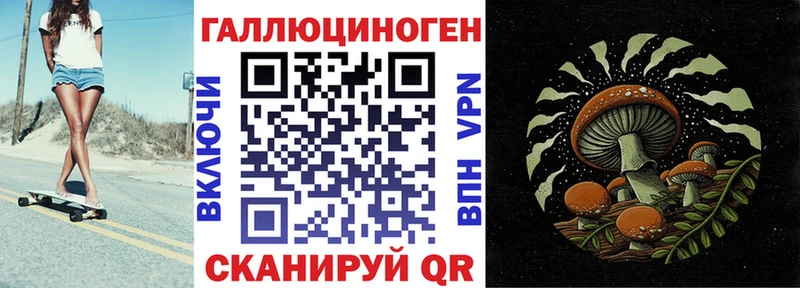 Псилоцибиновые грибы Psilocybine cubensis Данилов